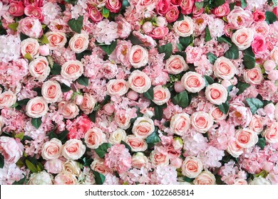 Natural Sweet Pink Roses Wedding Wall Backdrop Decoration/ Valentine's Day Flower