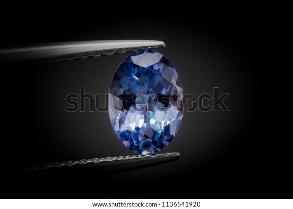 Natural Tanzanite Gems Stone oval cut\
beautiful.Holding a blue stone by\
tweezers.