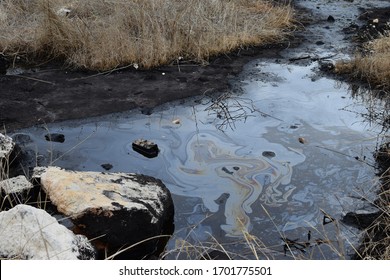 Natural tar water asphalt pit in swamp wetland. - Shutterstock ID 1701775501
