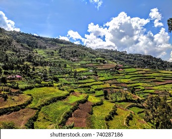 Natural Terracing On The Landscape In Southern Uganda