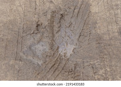 Natural Texture Of Brown Gray Clay And Muddy Dirty Water On The Road