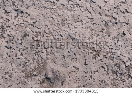 Natural natural textures and backgrounds made of sand, water and salt