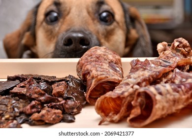 Natural treats for pets. dried meat products to feed and motivate dogs. the dog in the background looks with interest. High quality photo - Shutterstock ID 2069421377
