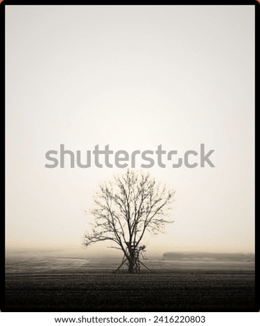 Similar – Wahner Heide ruhig Natur