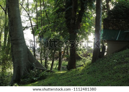 Similar – Image, Stock Photo Together in the green