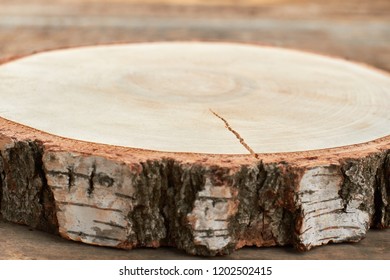 Natural Tree Wood With Bark. Close Up Natural Wood Disc. Wooden Stump Details. Rustic Wedding Centerpiece.