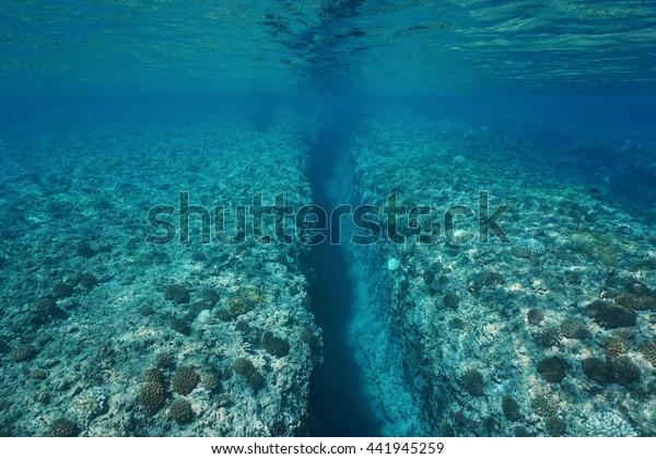 Natural Trench Into Coral Reef Carved Stock Photo (Edit Now) 441945259