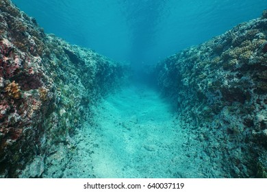 Natural Trench Underwater Carved Into The Ocean Floor On The Outer Reef Of Huahine Island, Pacific Ocean, French Polynesia