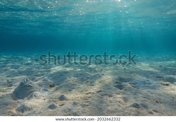 Natural underwater seascape, sand on the ocean\
floor and water surface with sunlight, Bora Bora, Pacific ocean,\
French Polynesia