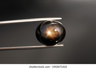 Natural unheated black, brown six 6 rays star sapphire oval cabochon gemstone. Light from window, shiny day, straight sun stars. Sapphire in tweezers holded. Dark gray background. Close up photo. - Shutterstock ID 1943471410