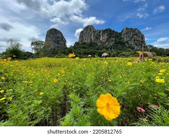 Natural View Blue Sky With Flowers And Mountains In The Background. Feel Refreshment And Positive Energy From The Natures.