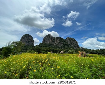 Natural View Blue Sky With Flowers And Mountains In The Background. Feel Refreshment And Positive Energy From The Natures.