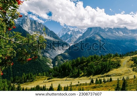 Natural view of the Chamonix valley and mountains