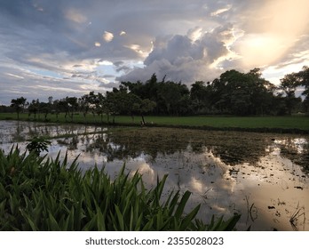 Natural view of no man's land between Bangladesh and India - Shutterstock ID 2355028023