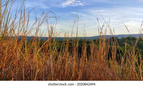 Natural View From The Sidelines Of Dry Grass On A Hill In The Morning