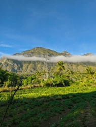 Natural View Of The Village Atmosphere In The Morning
