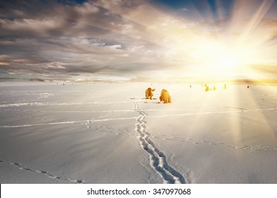  Natural Vintage Winter  Background, Fishing On Ice,