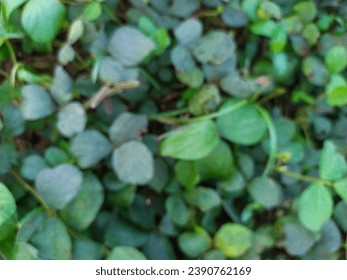 Natural wallpaper and background with an out-of-focus theme - Shutterstock ID 2390762169