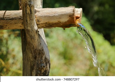 Natural water source. Natural spring of water. Clean, fresh, natural spring of drinking water falls from a wooden channel