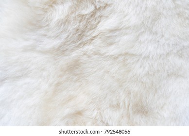 White Eco Fur Pattern Background Free Stock Photo | picjumbo