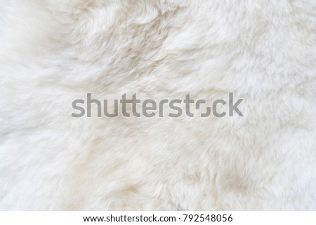 Natural white fur background, design template, copy space