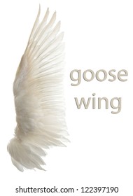 Natural White Goose Wings. Isolation.