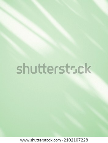 Natural window green shadow overlay on clean minimal light white background.