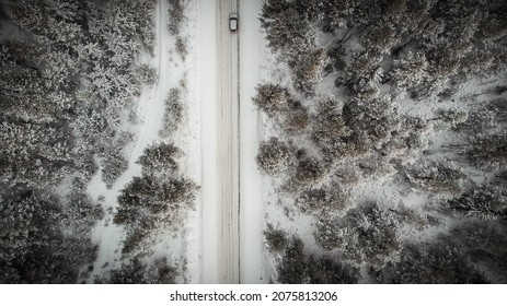 Natural winter background. Winter road in the forest after a snowfall.