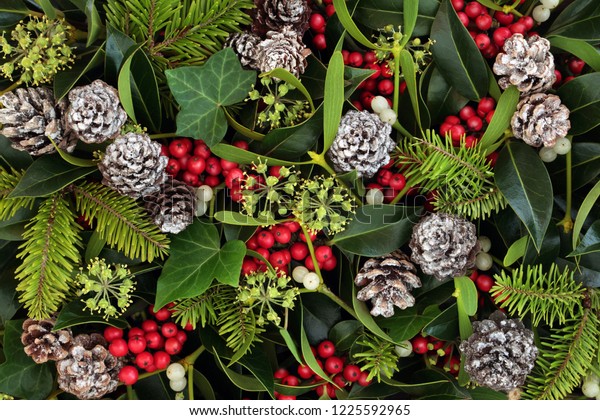 自然の冬とクリスマスの背景に ヒイラギ ツタ ヤドリギ 松の円錐 お祝いの季節の伝統的なクリスマスグリーティングカード の写真素材 今すぐ編集