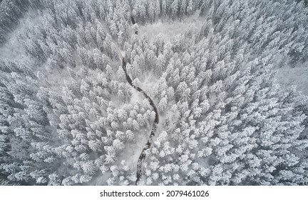 Natural Winter Landscape Aerial Drone Top View.. Winter Season Weather
