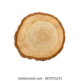 Natural wood slices made from natural pine tree with bark. Isolated on a white background.