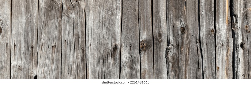 Natural wood texture for background. Copy space, banner. High resolution banner. - Shutterstock ID 2261431665