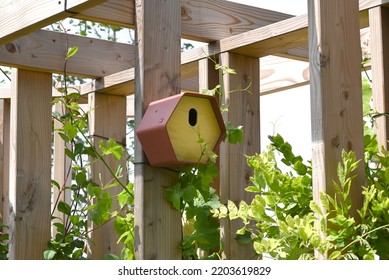 Natural wooden birdhouses in a garden setting.