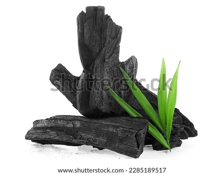 Natural wooden charcoal or traditional hard wood charcoal isolated on a white background. Charcoal powder has medicinal properties.