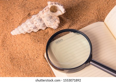 Naturalist's notebook for exploring shells of marine mollusks and ocean fauna. On a notebook lies a magnifier for study and a seashell on the sand.