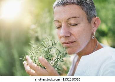 Naturally beautiful middle age woman with short gray hair dressed in white, smelling rosemary plant and enjoying its fragrance in the summer.  Using nature to heal the spiritual self - Shutterstock ID 1532650316