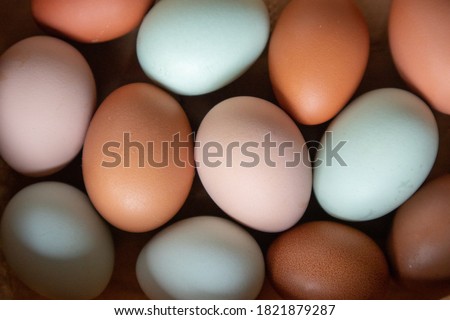 Naturally Colorful Chicken Eggs in a Pattern