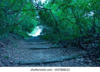 NAture 2018 Poland Forrest And Land