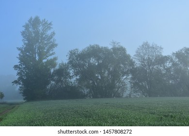 NAture 2018 Poland Forrest And Land