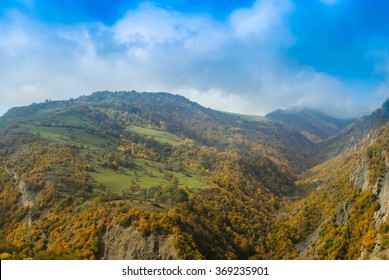 nature