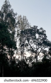 with the nature