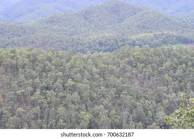 In The Nature