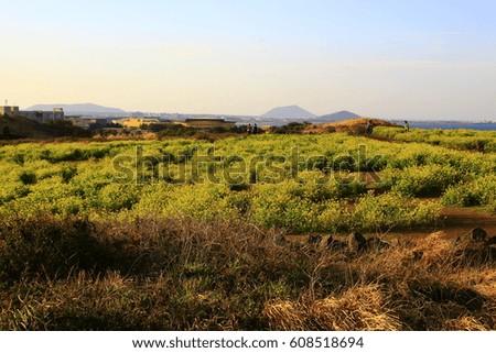 in Südafrika Naturreservat Teichsee und Busch