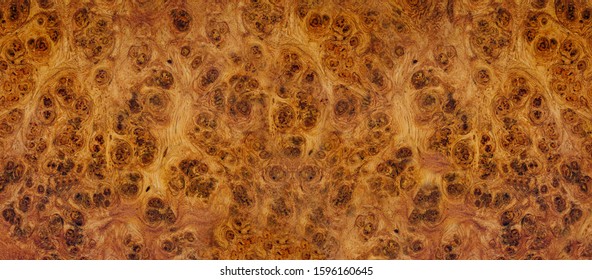 Nature afzelia burl wood striped, Exotic wooden beautiful pattern for crafts or abstract art texture background