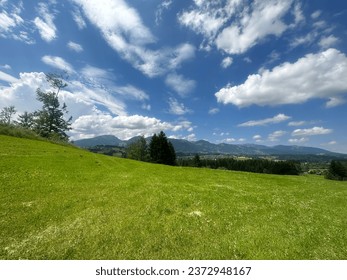 The Nature of the Alps