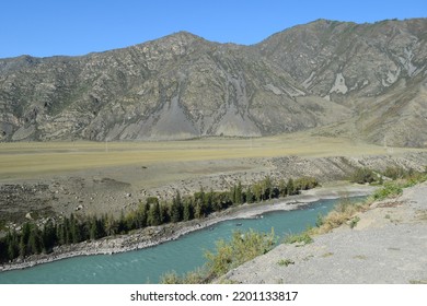 The Nature Of Altai. Western Siberia. Blue Katun River