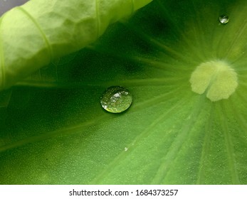 Nature Creates Beautiful Things Images Stock Photos Vectors Shutterstock