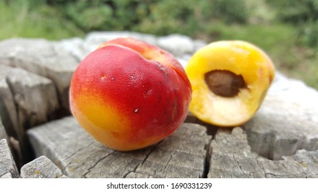 Nature Apricot Fruit Of Waziristan