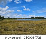 Nature in the area of Tripscompagnie in the provence of Groningen. The Netherlands. 