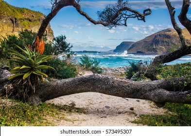 Nature around The Hole in the Wall at Coffee Bay in the Wild Coast, Republic South Africa. - Shutterstock ID 573495307